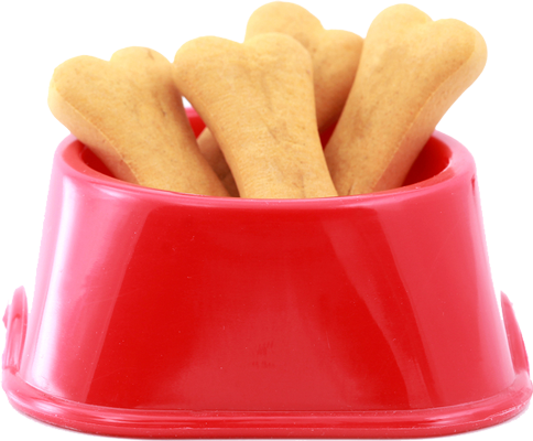 Grooming Dog Bowl - Dog (484x400), Png Download