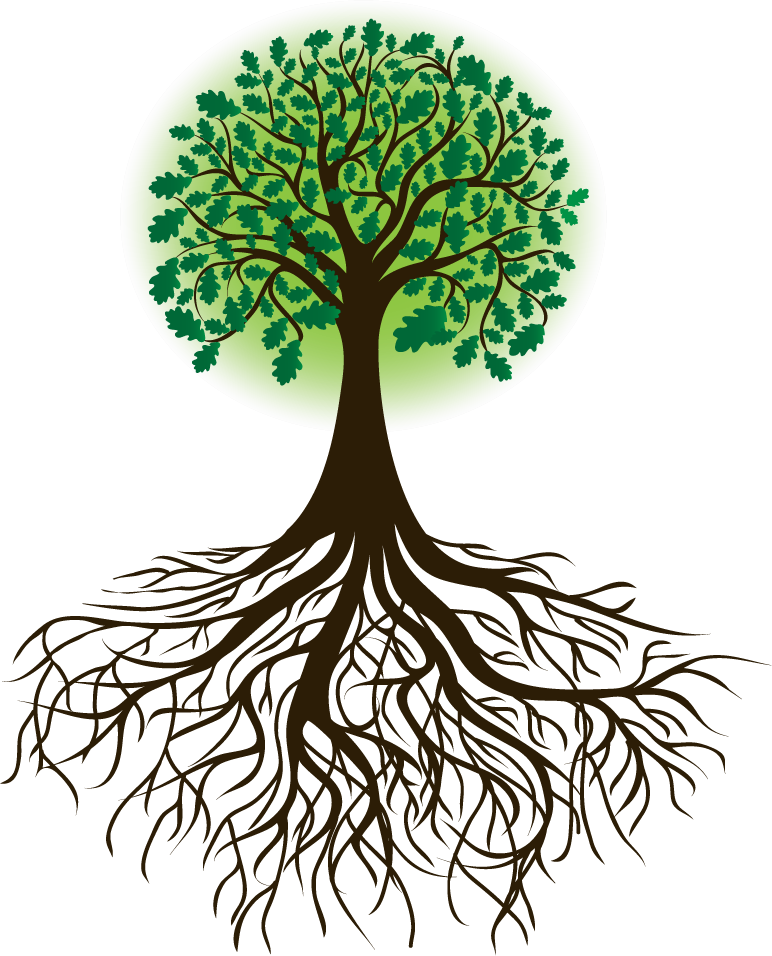 Arbol Raices Borges - Tree And Roots Drawing (772x956), Png Download