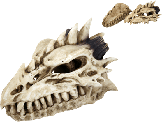 Evil Dragon Skull Incense Burner - Gifts & Decors Legendary Smoke Fire Breathing Druid (555x555), Png Download