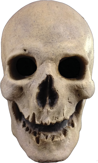 Original Classics - Trick Or Treat Studios Antique Skull Mask (436x639), Png Download
