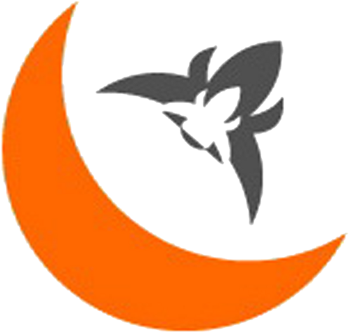 Orchids Orangemoorchids Twitter - Moon Clipart Orange (500x483), Png Download