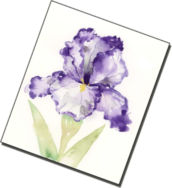 Jake Marshall A Purple Iris Watercolors Paintings - Watercolor Painting (344x375), Png Download