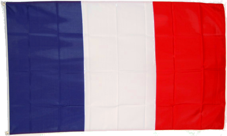 France Flag 90 X 150cm With Metal Eyelets - Flag Of France (768x768), Png Download
