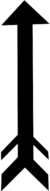 Black, Back, Arrow, Double - Vector Cung Tên (320x640), Png Download