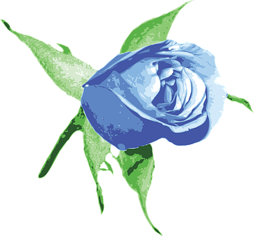 Bud Floral Flower Nature Rose Floral Flora - Blue Rose Bud Png (366x340), Png Download