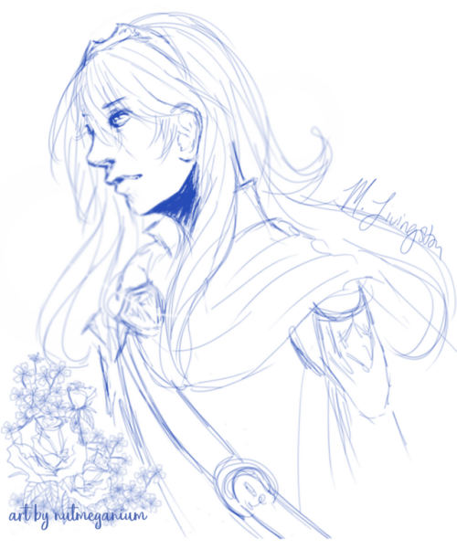 Fire Emblem Awakening - Sketch (500x601), Png Download