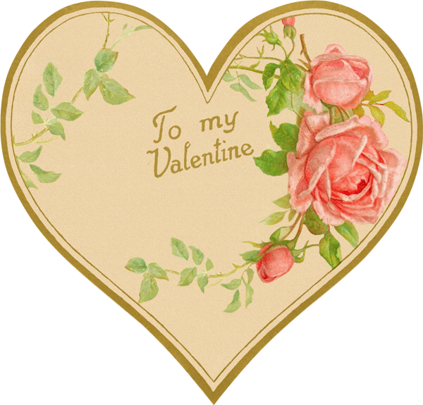 Garden Roses (600x575), Png Download