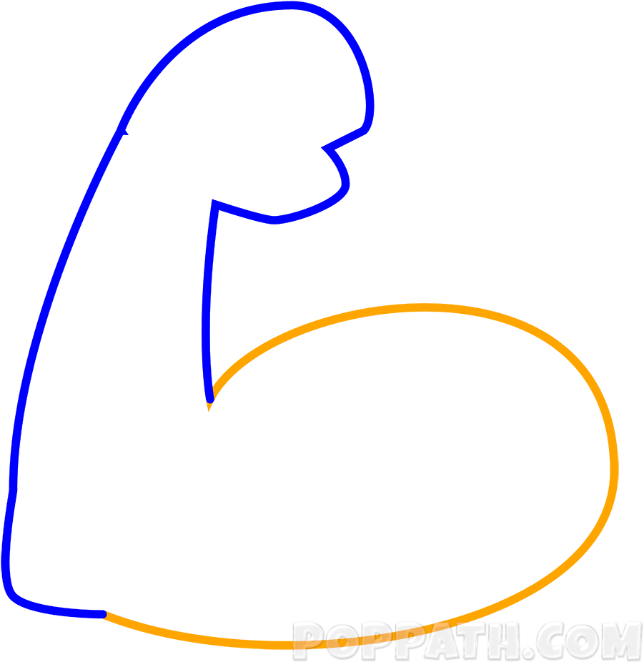 Now Draw An Oval Shape That Meets Both Ends Of The - Draw A Muscle Arm (1000x1000), Png Download