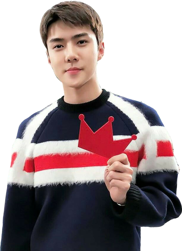 Report Abuse - Png Sehun (617x850), Png Download