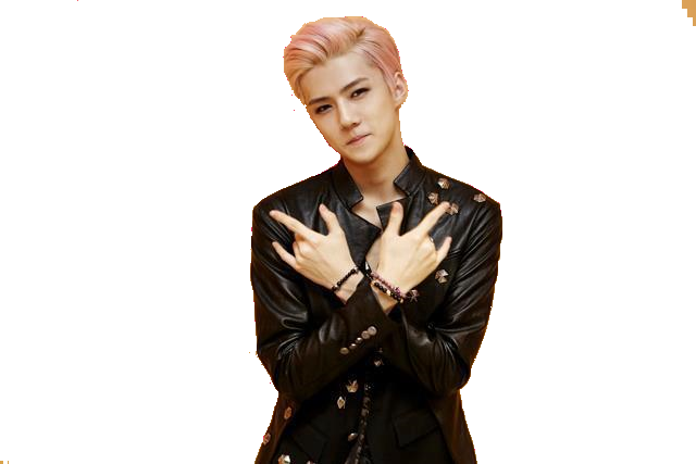 Creativity And Divergence In Mathematics - Kpop Pics Without Background (640x427), Png Download