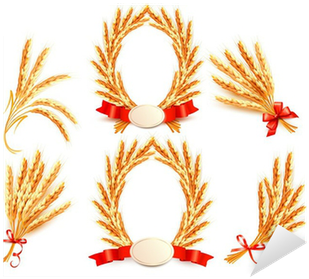 Big Collection With Ears Of Wheat - Golden Seed (400x400), Png Download
