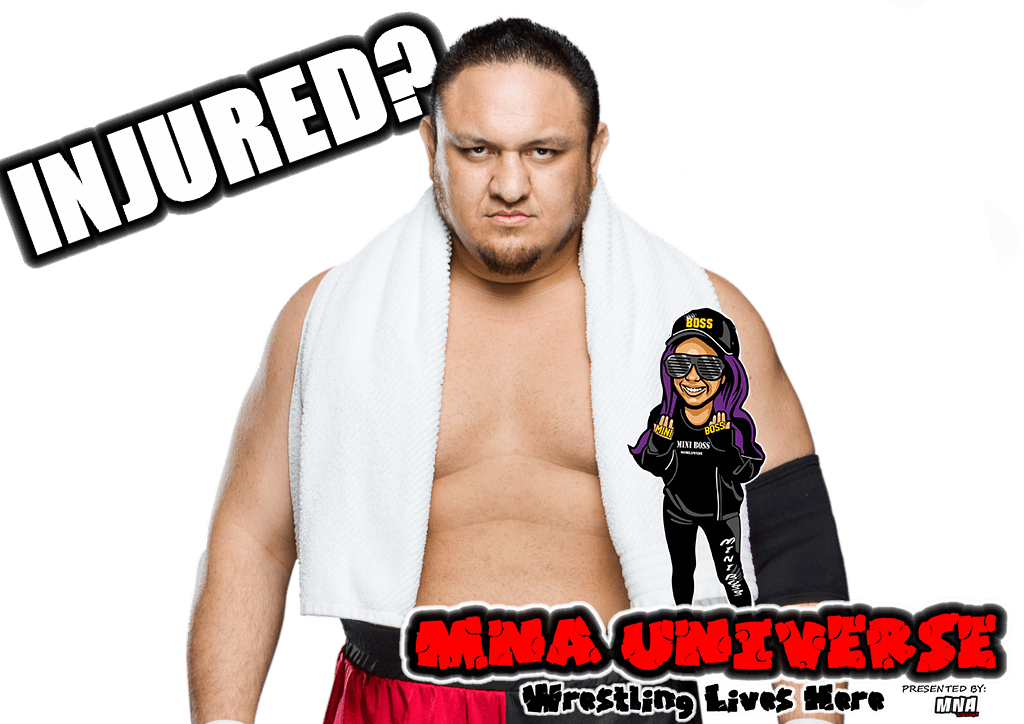 Http - //www - Mnauniverse - Net/is Samoa Joe Really - Samoa Joe (1024x724), Png Download