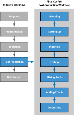 Diagram Showing The Final Cut Pro Post-production Workflow - Post Production Workflow Chart (297x457), Png Download