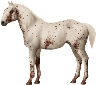 Taken On Sat Aug 19, 2017 - Horse (450x300), Png Download