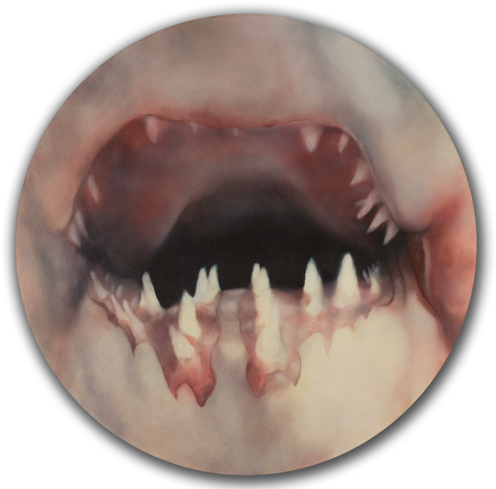 Malevolent Waters - Nevada Public Radio (1000x950), Png Download