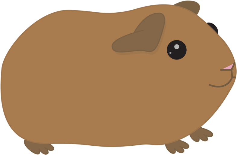 Graphic Black And White Orange Free On Dumielauxepices - Cartoon Guinea Pig Png (800x533), Png Download