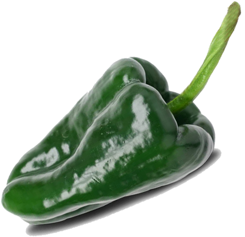Hot Green Poblano Pepper - Poblano Chili (513x504), Png Download