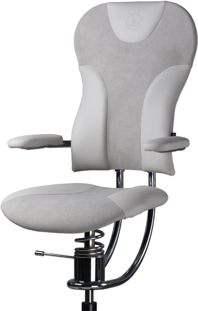 Your Investment In A Healthy Back - Chair (402x611), Png Download