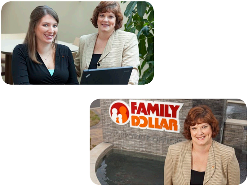 Surveyor & Family Dollar - Display Advertising (800x600), Png Download