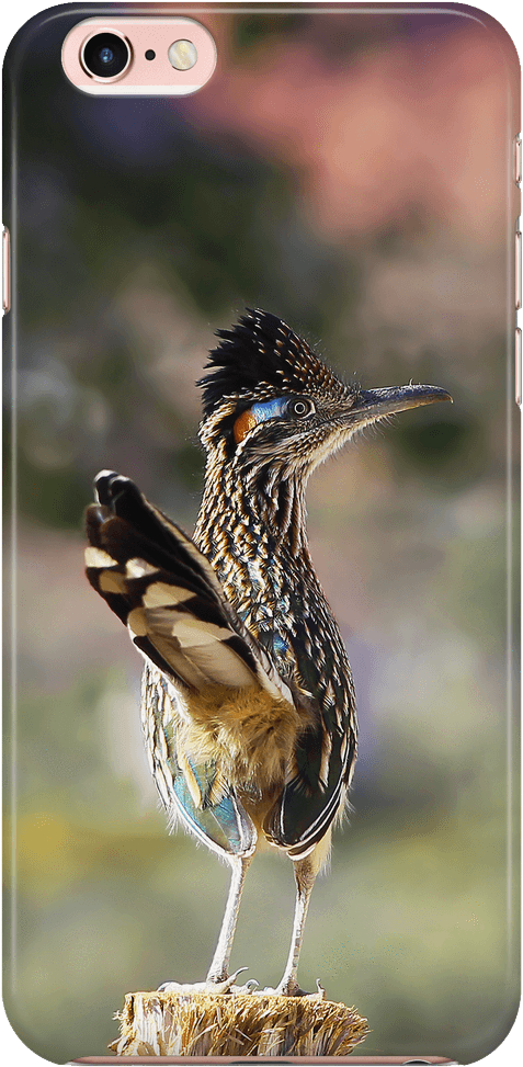 Iphone 6 Plus Case Greater Roadrunner Bird - Tote Bag (1024x1024), Png Download