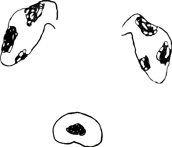 Filter Dog Ears Ear B612 Snapchat Cute Adorable Eco - Ear (566x485), Png Download