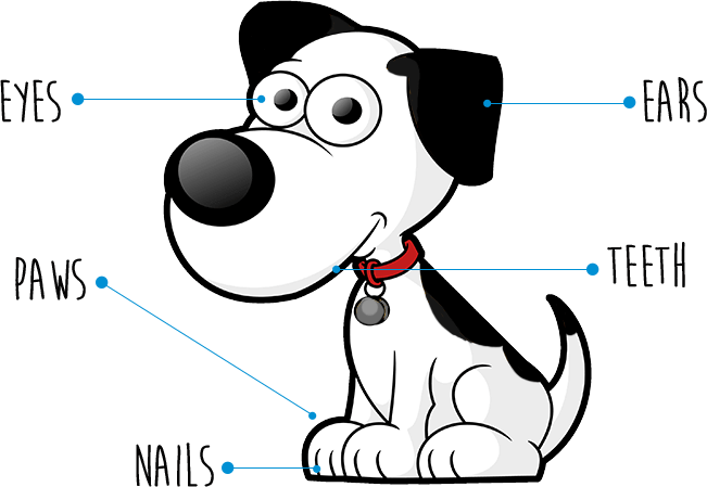 Dog Grooming Guide - Dog Clipart Png (651x449), Png Download