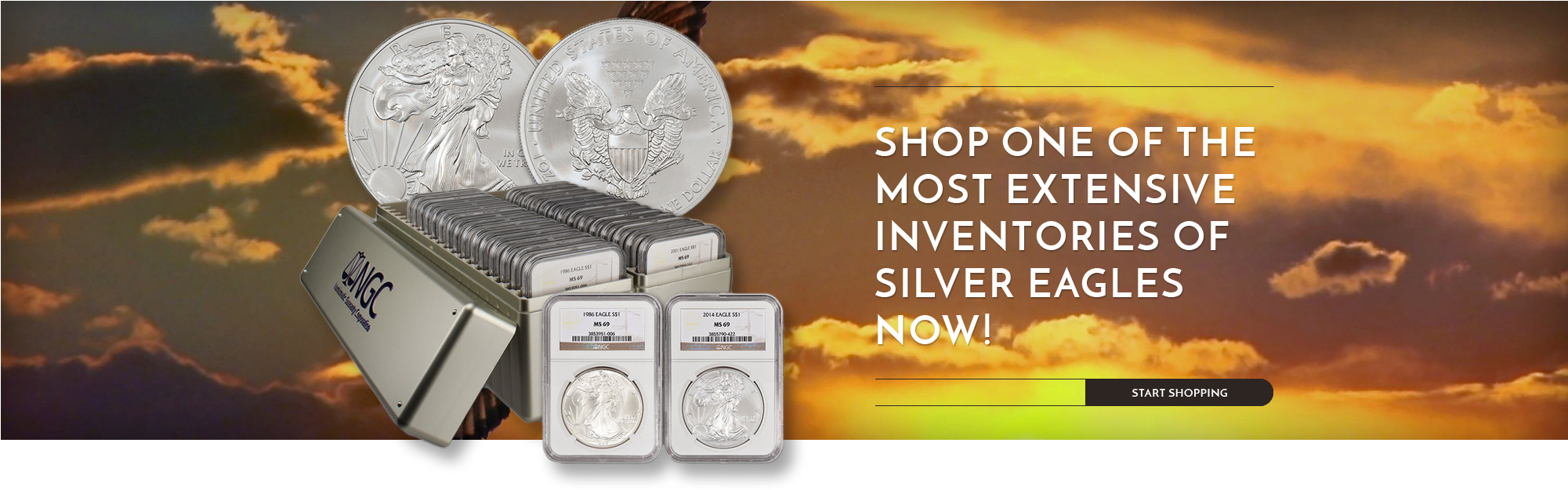 Shop One Of The Most Extensive Inventories Of Silver - American Silver Eagle (2000x640), Png Download