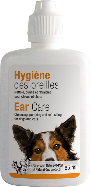 85 - Viola (290x600), Png Download