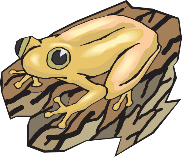 Frog Clipart Log Clipart - Wood Frog Cartoon (600x519), Png Download