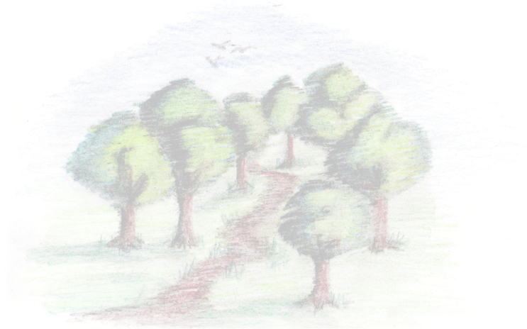 Sketch (743x464), Png Download