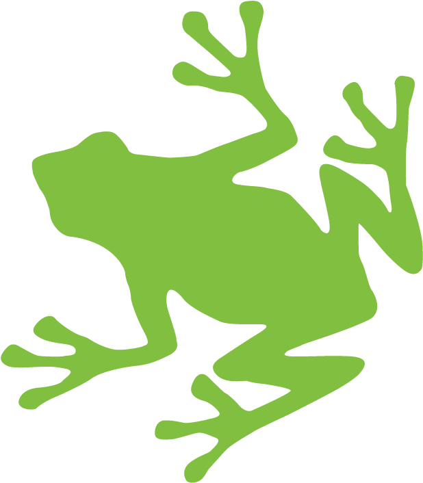 Green Frog Retina Graphic - Frog Graphic (700x755), Png Download