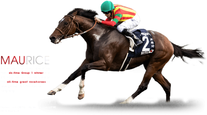 Horse Race Png Clip Free - Horse Racing Png (701x404), Png Download
