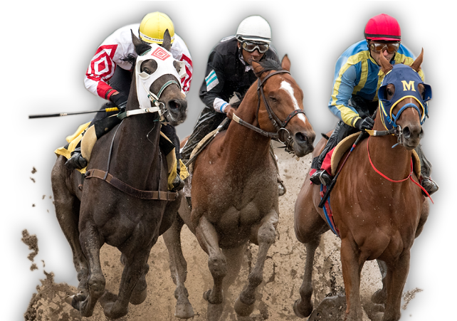 Horse Race Png - Flat Racing (660x450), Png Download