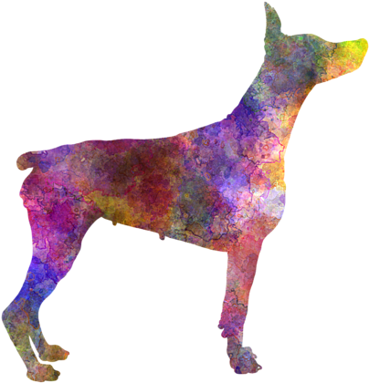 Doberman 01 In Watercolor Greeting Card For Sale By - Clumber Spaniel January Notebook Clumber Spaniel Record, (600x480), Png Download