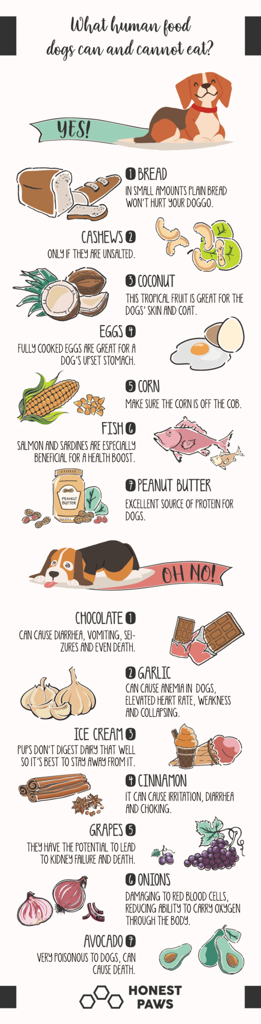 Harrier (522x2048), Png Download