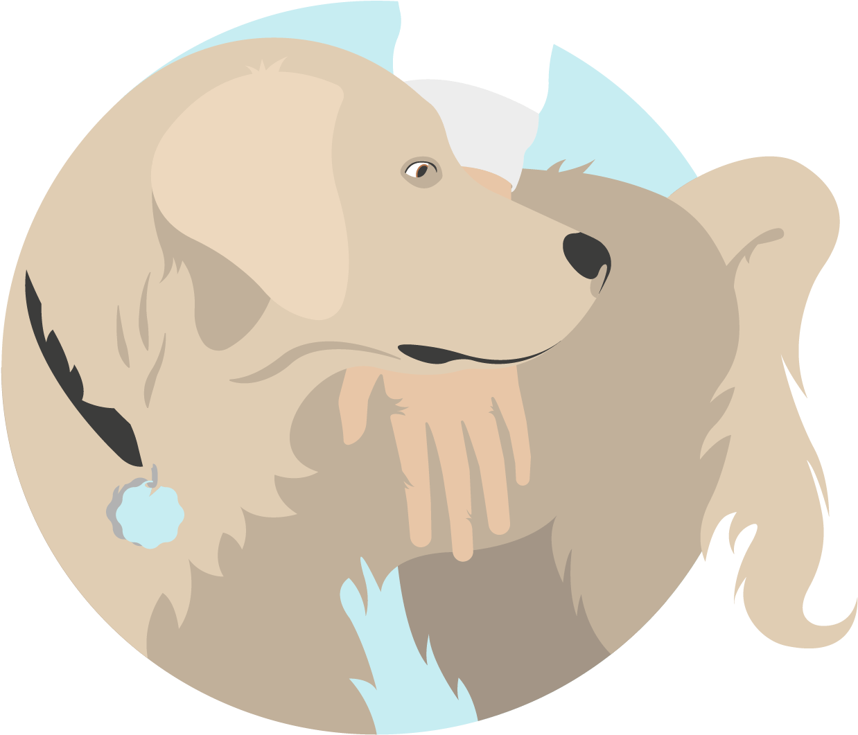 Icon Dog Owner - Dog (1475x1171), Png Download