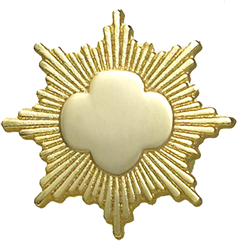 Girl Scout Gold Award Png (352x352), Png Download