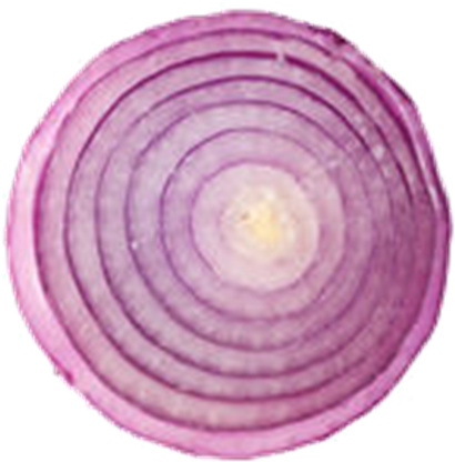Onion Png Available - Sliced Onion Transparent Background (420x420), Png Download