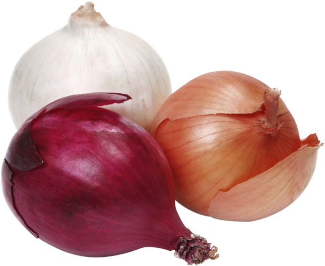 Onion (800x585), Png Download