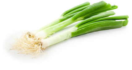 Categories - Imagenes De Cebolla Blanca (450x300), Png Download