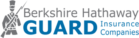 Berkshire Hathaway Guard - Berkshire Hathaway Guard Logo (478x255), Png Download