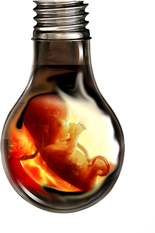 Don't Kill Girl In Womb When She Might Bring Country - Save Girl Child Model (600x804), Png Download