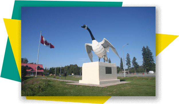 About The Wawa Beginner Driver Education Course - Wawa Goose (627x400), Png Download