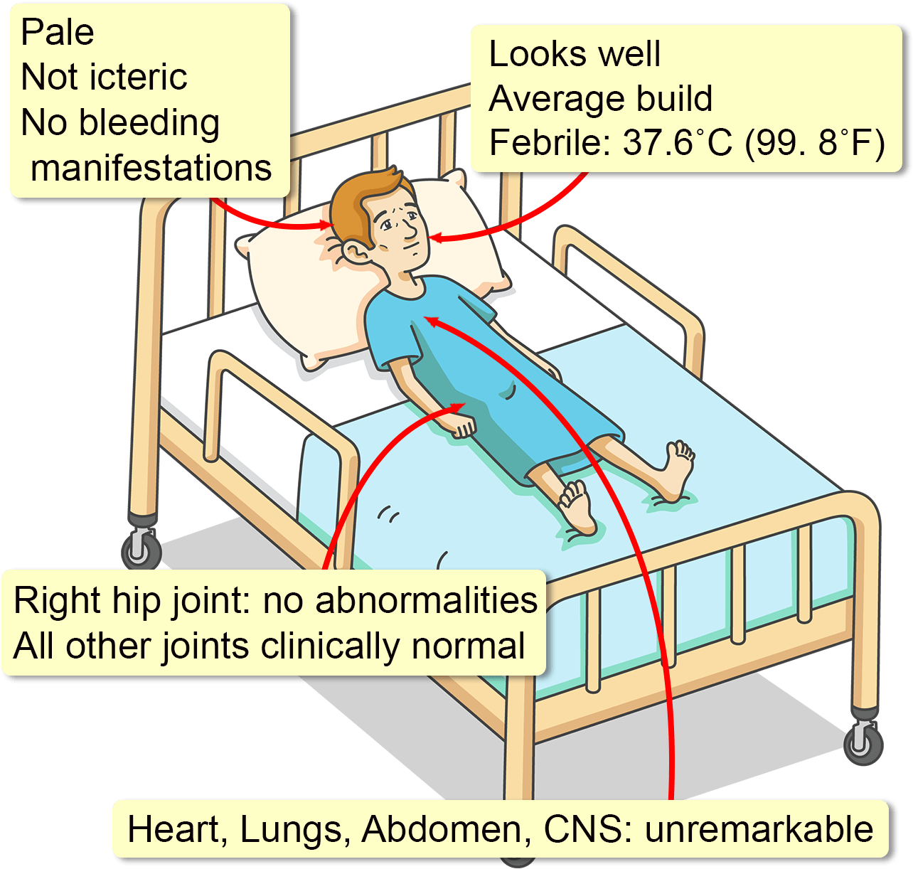 A Neutrophil Count Of 1,510/mm3, A Hb Level Of - Cartoon (1330x1280), Png Download