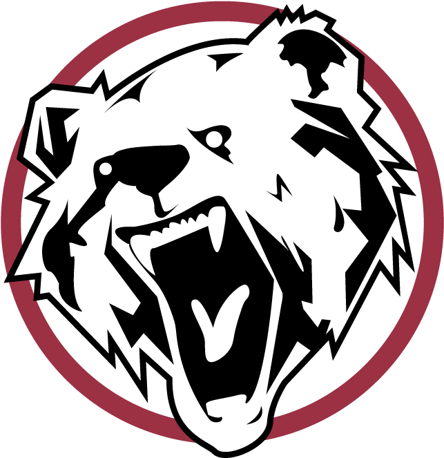 Big Bear Energy Services - Big Bear Logo (720x720), Png Download