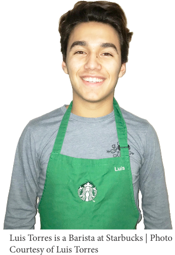Once The Trainees Learn The Beverages They May Begin - Starbucks Barista Png (394x527), Png Download