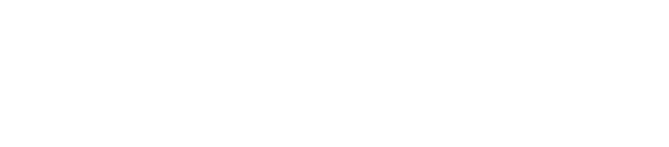 Ladies Night Out Website@4x - Twitter White Icon Png (1000x269), Png Download