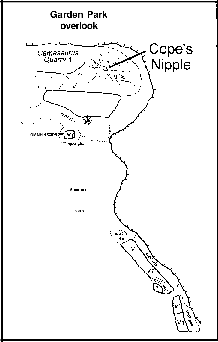 Png Library Download Gefo Tape And Brunton Map Of The - Line Art (727x1143), Png Download
