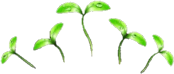 Overlay Image - Drawing (500x500), Png Download