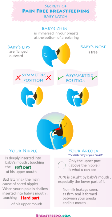 Mom Has Pain When Her Nipple Is Being Hit By The Hard - Breastfeeding And Hard Palate (364x705), Png Download